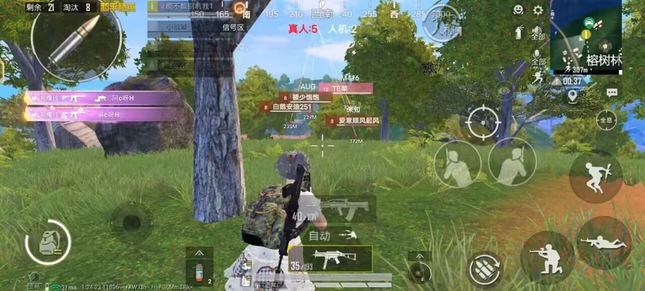 和平精英辅助有哪些类型，如何使用?